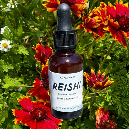 Reishi Mushroom Tincture